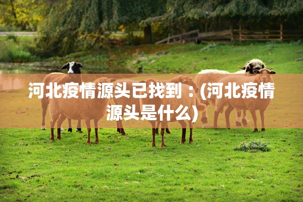 河北疫情源头已找到︰(河北疫情源头是什么)