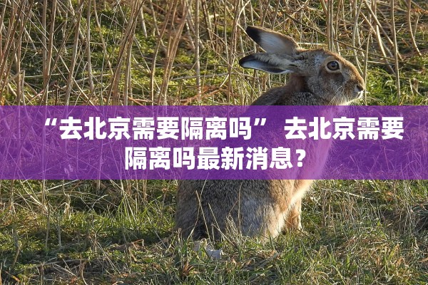 江苏新增11例本土确诊-江苏新增本土确诊病例54例