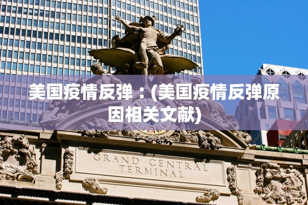 美国疫情反弹︰(美国疫情反弹原因相关文献)