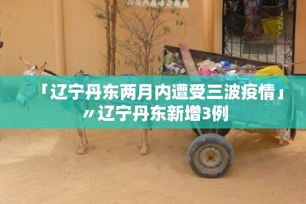 「辽宁丹东两月内遭受三波疫情」〃辽宁丹东新增3例