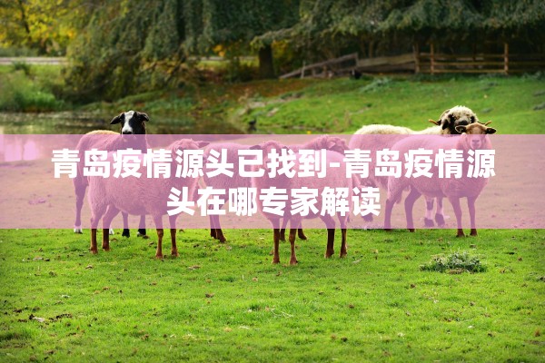 青岛疫情源头已找到-青岛疫情源头在哪专家解读