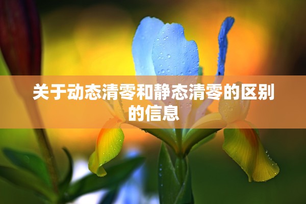 关于动态清零和静态清零的区别的信息 关于动态清零和静态清零的区别的信息