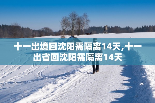 十一出境回沈阳需隔离14天,十一出省回沈阳需隔离14天