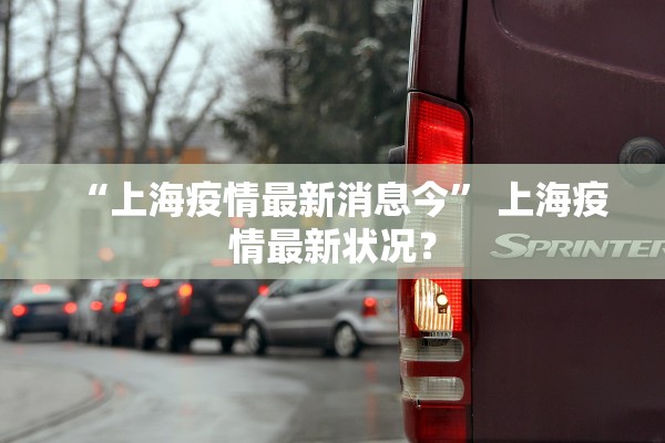 “上海疫情最新消息今” 上海疫情最新状况？