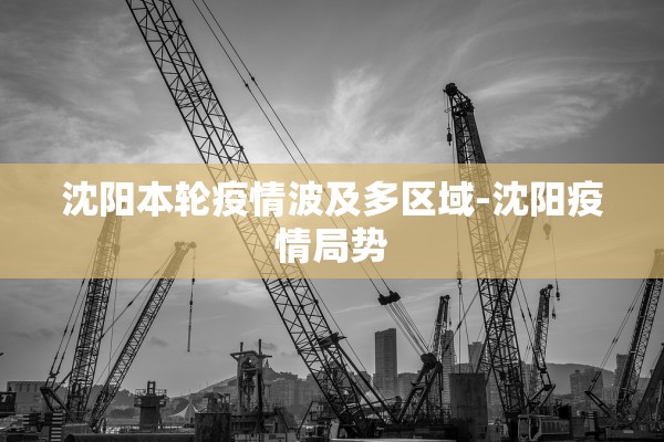 沈阳本轮疫情波及多区域-沈阳疫情局势