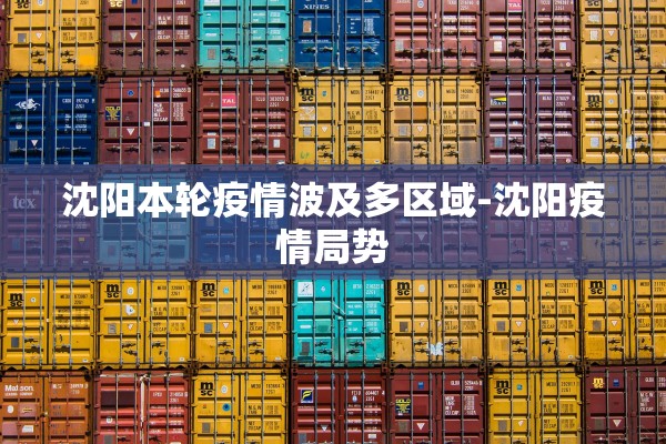 沈阳本轮疫情波及多区域-沈阳疫情局势