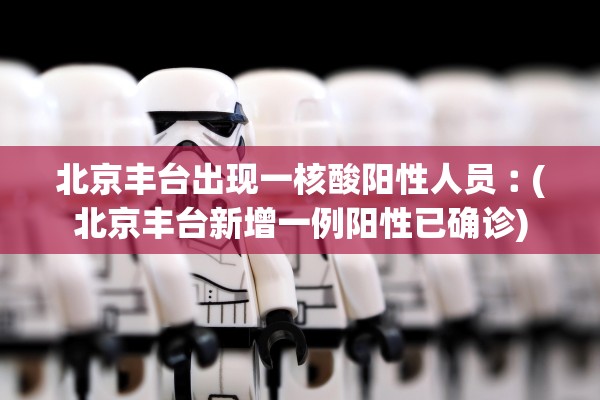 北京丰台出现一核酸阳性人员︰(北京丰台新增一例阳性已确诊) 北京丰台出现一核酸阳性人员︰(北京丰台新增一例阳性已确诊)
