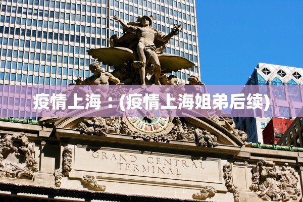 疫情上海︰(疫情上海姐弟后续)