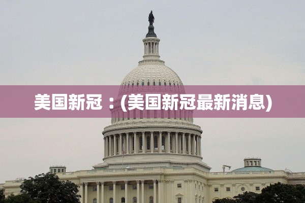 美国新冠︰(美国新冠最新消息)