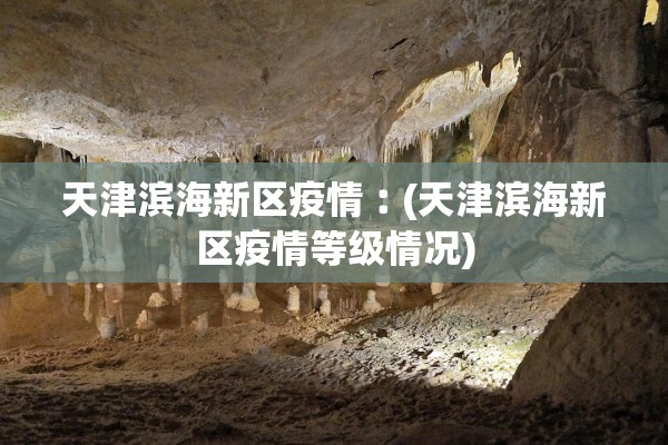 天津滨海新区疫情︰(天津滨海新区疫情等级情况)