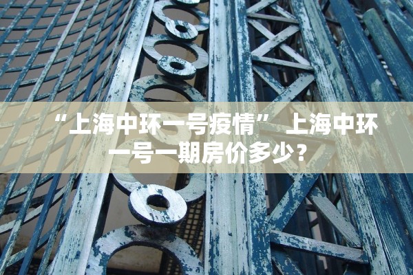 “上海中环一号疫情” 上海中环一号一期房价多少？