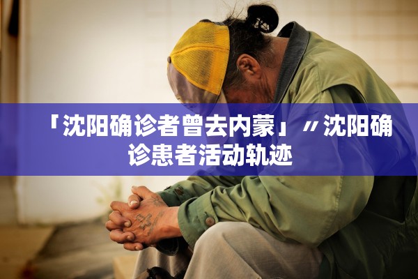 「沈阳确诊者曾去内蒙」〃沈阳确诊患者活动轨迹 「沈阳确诊者曾去内蒙」〃沈阳确诊患者活动轨迹