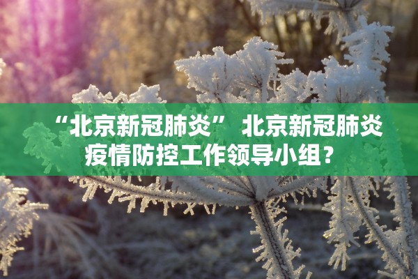 “北京新冠肺炎	” 北京新冠肺炎疫情防控工作领导小组？