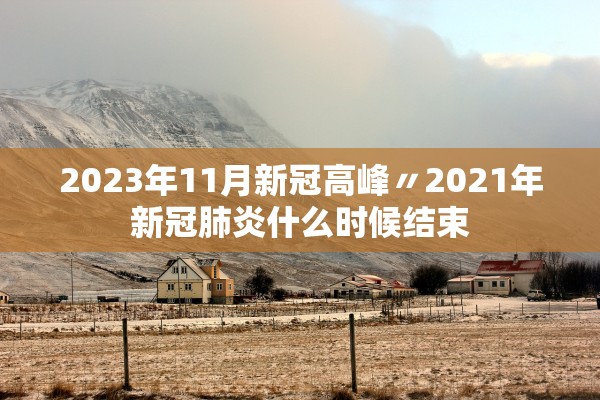 2023年11月新冠高峰〃2021年新冠肺炎什么时候结束