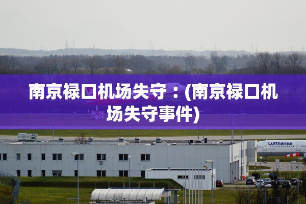南京禄口机场失守︰(南京禄口机场失守事件)