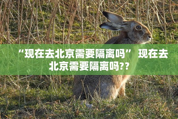“现在去北京需要隔离吗	” 现在去北京需要隔离吗?？