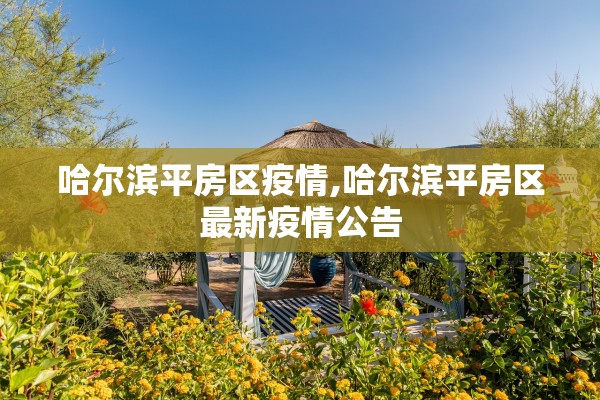 哈尔滨平房区疫情,哈尔滨平房区最新疫情公告