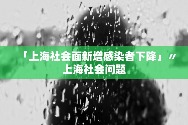 「上海社会面新增感染者下降」〃上海社会问题