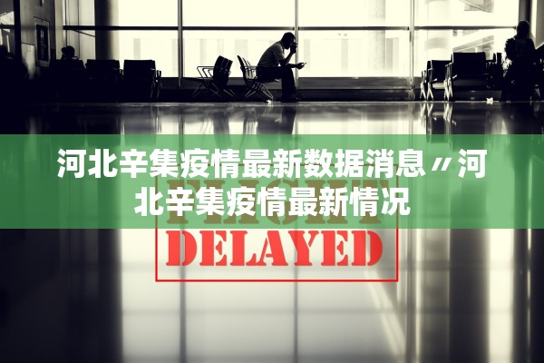 河北辛集疫情最新数据消息〃河北辛集疫情最新情况