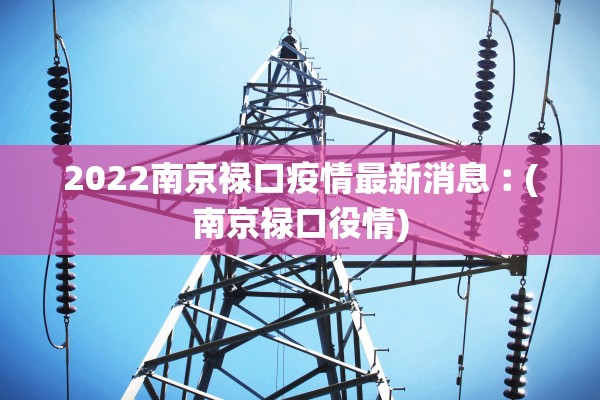 2022南京禄口疫情最新消息︰(南京禄口役情)