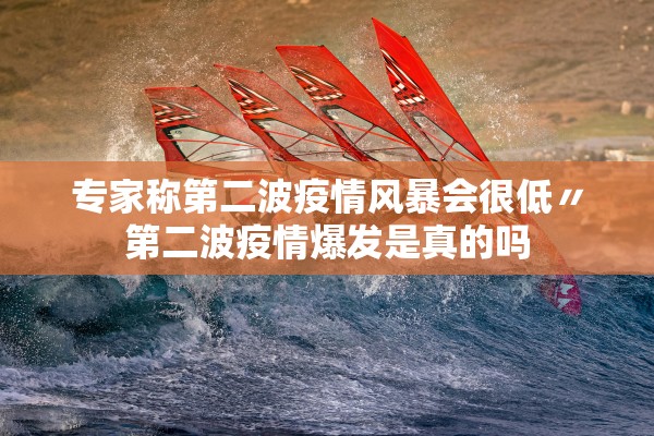 专家称第二波疫情风暴会很低〃第二波疫情爆发是真的吗