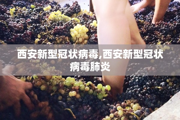 西安新型冠状病毒,西安新型冠状病毒肺炎 西安新型冠状病毒,西安新型冠状病毒肺炎