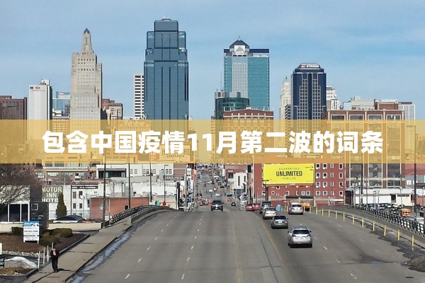 包含中国疫情11月第二波的词条