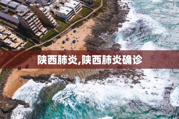 陕西肺炎,陕西肺炎确诊