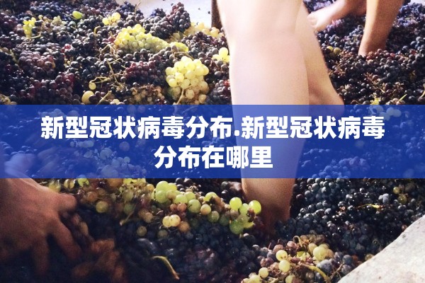 新型冠状病毒分布.新型冠状病毒分布在哪里