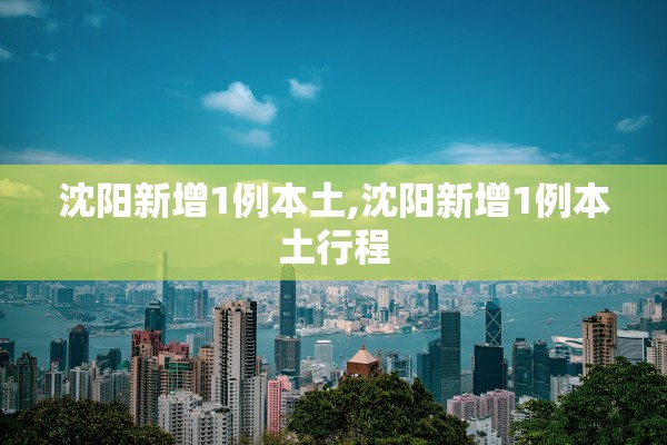 沈阳新增1例本土,沈阳新增1例本土行程