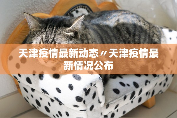 天津疫情最新动态〃天津疫情最新情况公布