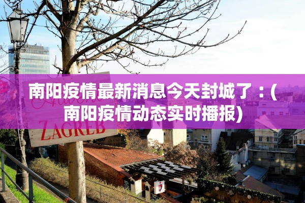 南阳疫情最新消息今天封城了︰(南阳疫情动态实时播报)