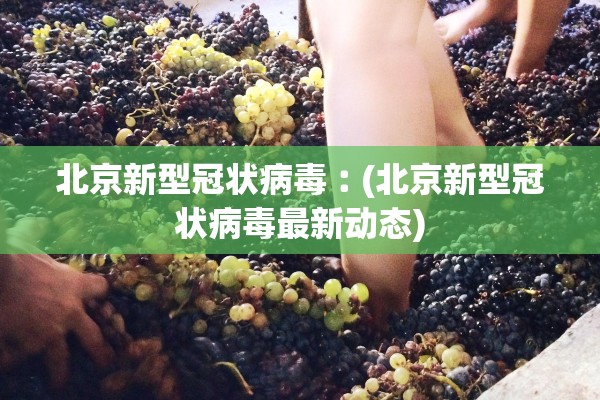 北京新型冠状病毒︰(北京新型冠状病毒最新动态)