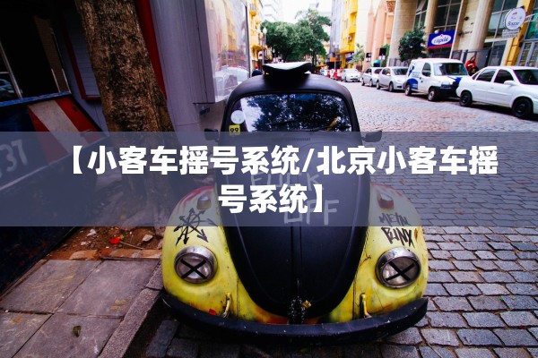 【小客车摇号系统/北京小客车摇号系统】