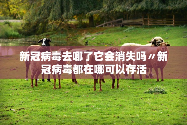 新冠病毒去哪了它会消失吗〃新冠病毒都在哪可以存活