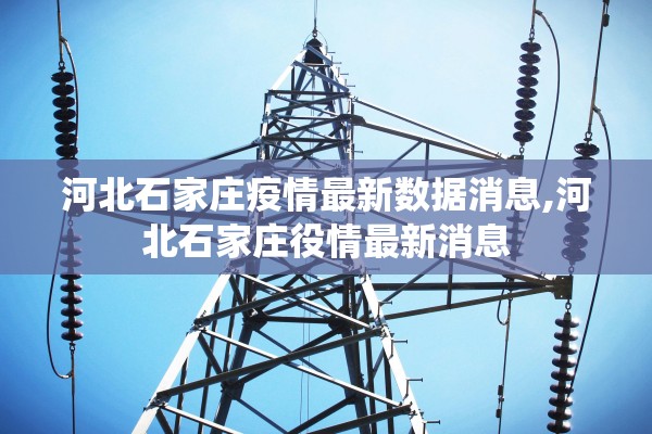 河北石家庄疫情最新数据消息,河北石家庄役情最新消息