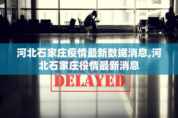 河北石家庄疫情最新数据消息,河北石家庄役情最新消息