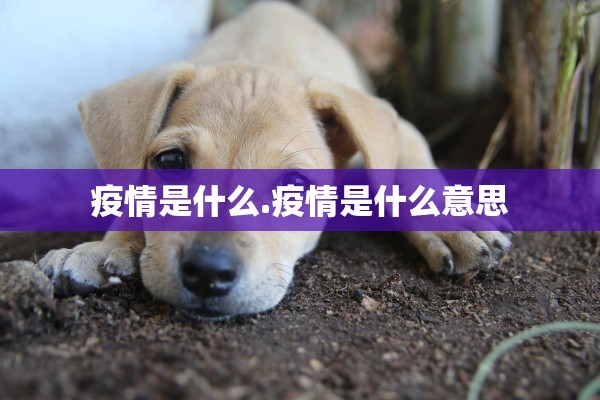 疫情是什么.疫情是什么意思