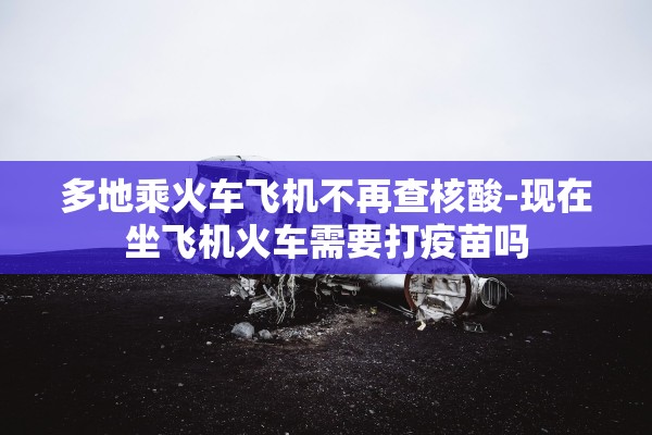 多地乘火车飞机不再查核酸-现在坐飞机火车需要打疫苗吗