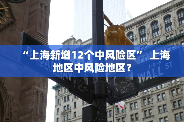 “上海新增12个中风险区” 上海地区中风险地区？