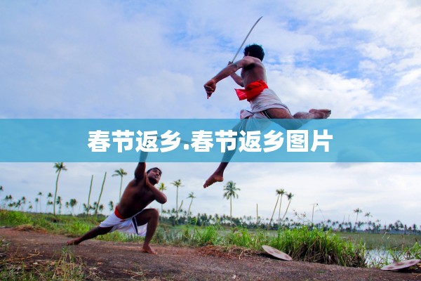 春节返乡.春节返乡图片