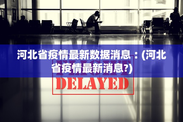 河北省疫情最新数据消息︰(河北省疫情最新消息?)