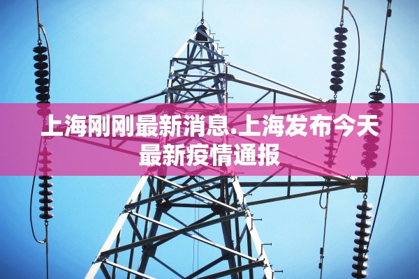 上海刚刚最新消息.上海发布今天最新疫情通报