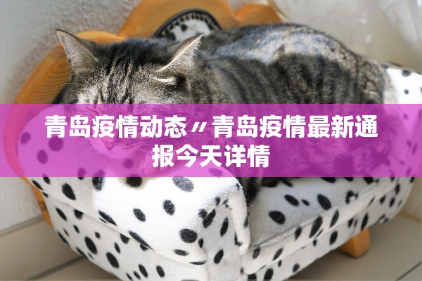 青岛疫情动态〃青岛疫情最新通报今天详情