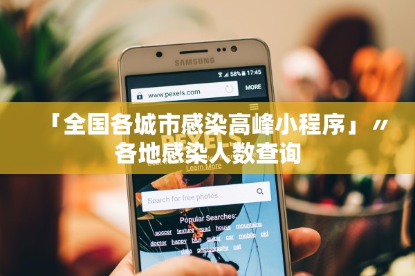 「全国各城市感染高峰小程序」〃各地感染人数查询