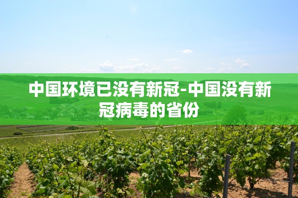 中国环境已没有新冠-中国没有新冠病毒的省份