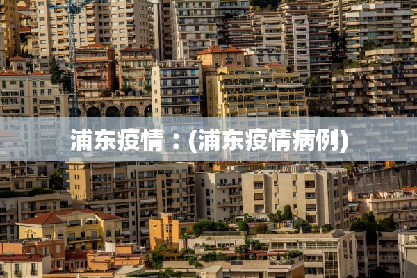 浦东疫情︰(浦东疫情病例)