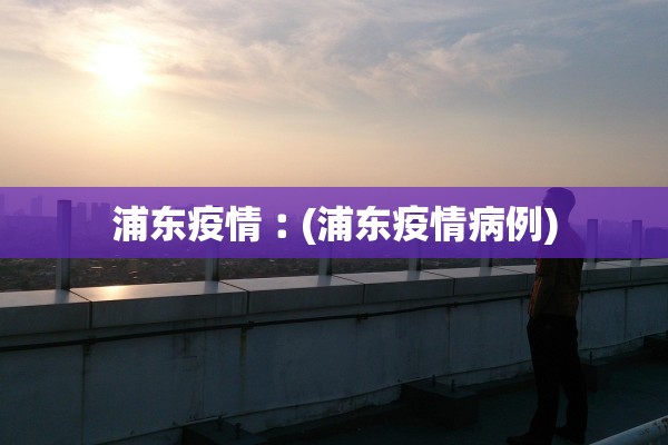 浦东疫情︰(浦东疫情病例)