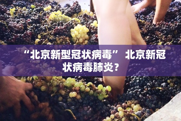“北京新型冠状病毒” 北京新冠状病毒肺炎？