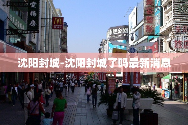 沈阳封城-沈阳封城了吗最新消息